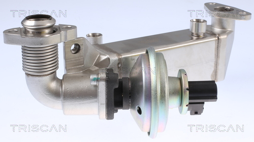TRISCAN EGR-ventil 881311009 for BMW