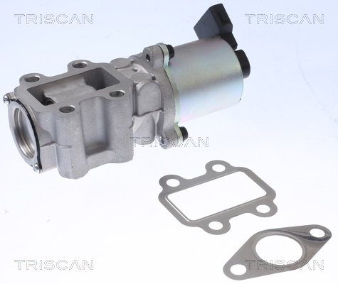 TRISCAN EGR-ventil 881313100 for TOYOTA