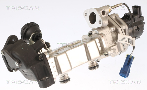 TRISCAN EGR-ventil 881315001 for JEEP CHRYSLER