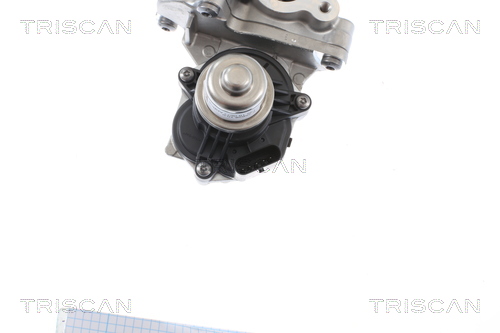 TRISCAN EGR-ventil 8813 16005 for FORD USA