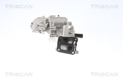 TRISCAN EGR-ventil 881316005 for FORD USA