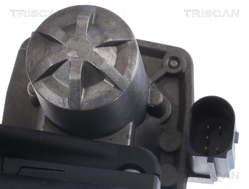 TRISCAN EGR-ventil 881329005 for VW