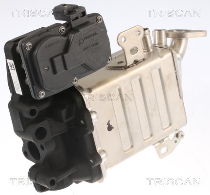 TRISCAN EGR-ventil 8813 29005 for VW