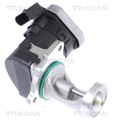 TRISCAN EGR-ventil 8813 29043 for VW
