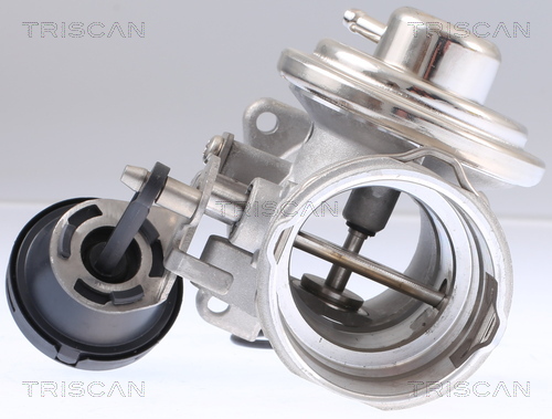 TRISCAN EGR-ventil 881329308 for VW