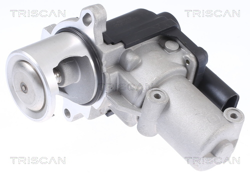 TRISCAN EGR-ventil 881329310 for VW