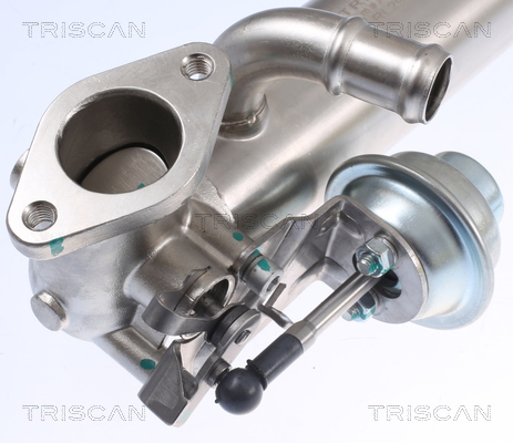 TRISCAN Køler, udstødningsgastilbageføring 8813 29326 for VW