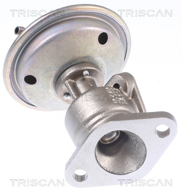 TRISCAN EGR-ventil 881329340 for VW