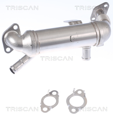 TRISCAN Køler, udstødningsgastilbageføring 8813 43106 for KIA