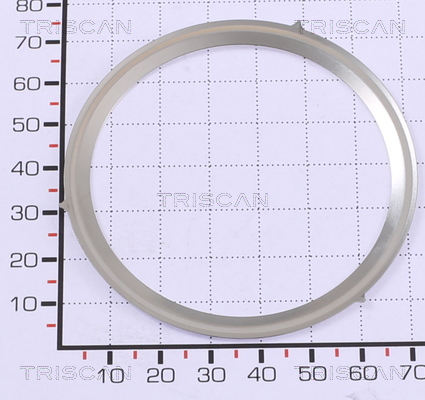 TRISCAN Pakning 881399168 for FIAT