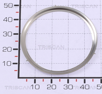 TRISCAN Pakning 881399169 for FIAT