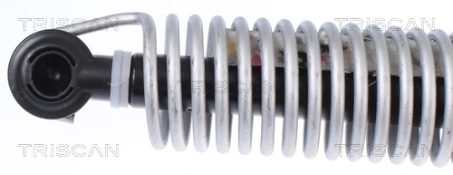 TRISCAN Gasfjeder, kuffert-/lastrum 8710 112013 for BMW
