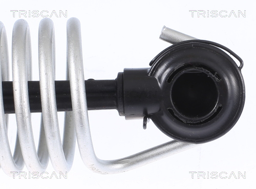 TRISCAN Gasfjeder, kuffert-/lastrum 8710112015 for BMW