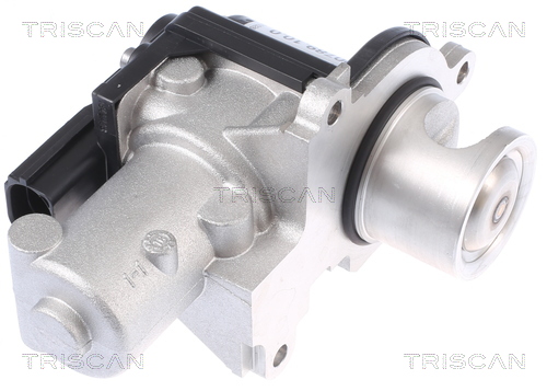 TRISCAN EGR-ventil 881329338 for VW PORSCHE