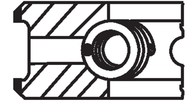 MAHLE 061rs001100n0