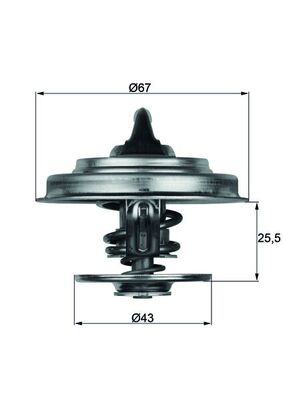 MAHLE Termostat, kølemiddel tx1875d for IVECO MERCEDES-BENZ