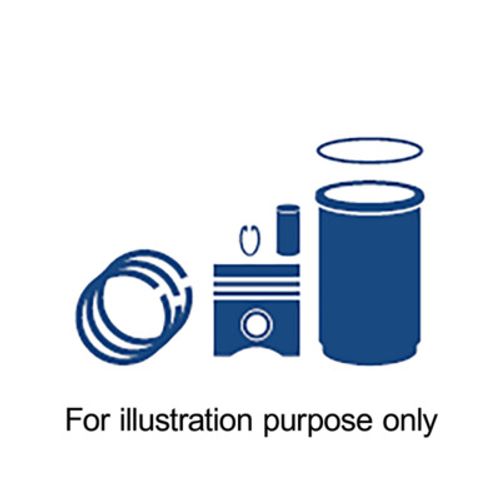 Produktbillede for Reperationssæt, stempel/cylinder-foring