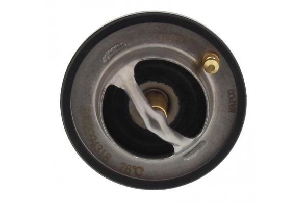 MAPCO Termostat, kølemiddel 28560 for MAZDA NISSAN