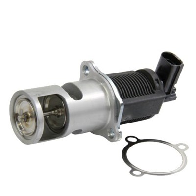 MAGNETI MARELLI EGR-ventil 571822112009 for RENAULT