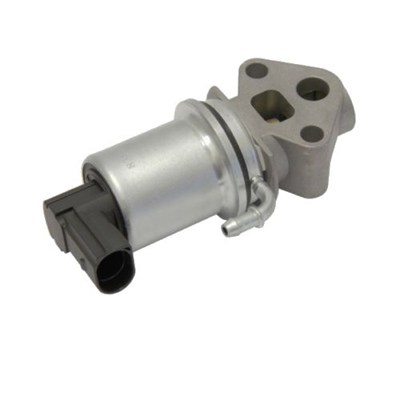 MAGNETI MARELLI EGR-ventil 571822112020 for VW
