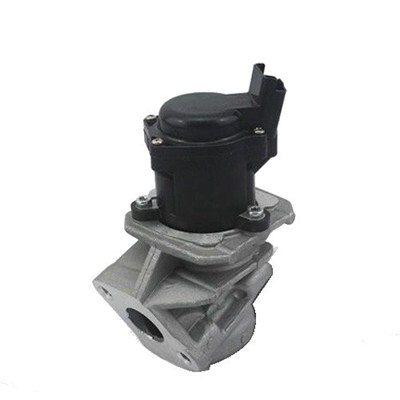 MAGNETI MARELLI EGR-ventil 571822112029 for CITROËN/PEUGEOT FORD TOYOTA