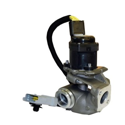 MAGNETI MARELLI EGR-ventil 571822112031 for FORD VOLVO