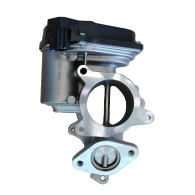 MAGNETI MARELLI EGR-ventil 571822112037 for AUDI