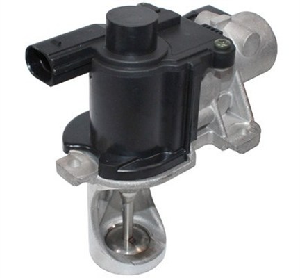 MAGNETI MARELLI EGR-ventil 571822112079 for STANDARD AUTOMOBILE VW