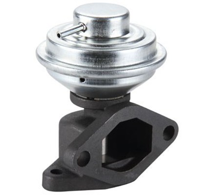 MAGNETI MARELLI EGR-ventil 571822112107 for FORD