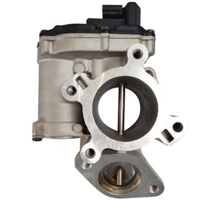 MAGNETI MARELLI EGR-ventil 571822112128 for STANDARD AUTOMOBILE OPEL NISSAN RENAULT