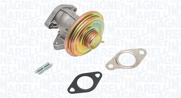 MAGNETI MARELLI EGR-ventil 571822112223 for FORD
