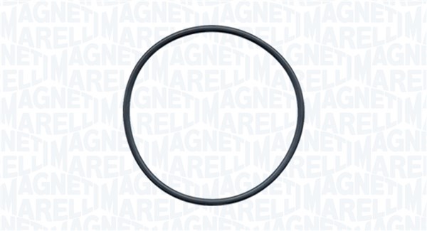 MAGNETI MARELLI Vandpumpe 350984253000 for VW