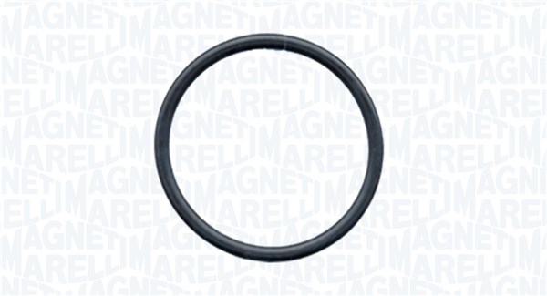 MAGNETI MARELLI Vandpumpe 350984312000 for BMW