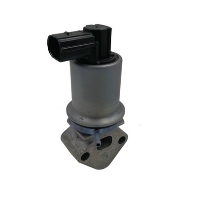 MAGNETI MARELLI EGR-ventil 571822112071 for STANDARD AUTOMOBILE VAG