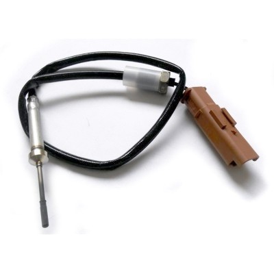 MEAT & DORIA Sensor, udstødningsgastemperatur 12169 for MINI CITROËN/PEUGEOT