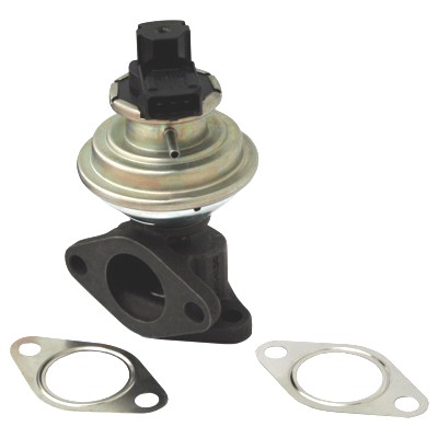 MEAT & DORIA EGR-ventil 88036 for LAND ROVER