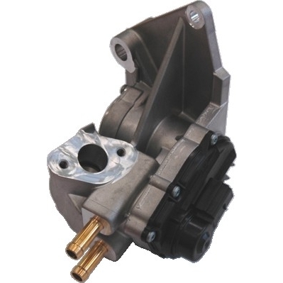 MEAT & DORIA EGR-ventil 88113 for VAG