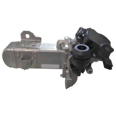 MEAT & DORIA EGR-ventil 88198 for VOLVO FORD CITROËN/PEUGEOT DS TOYOTA