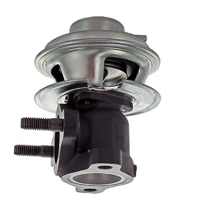 MEAT & DORIA EGR-ventil 88465 for KIA