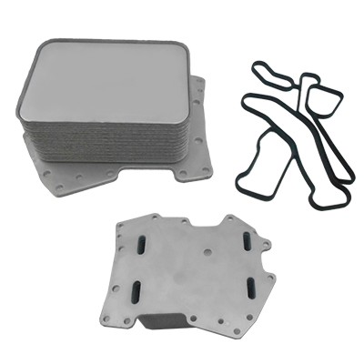 MEAT & DORIA Oliekøler, motorolie 95203 for FORD LAND ROVER