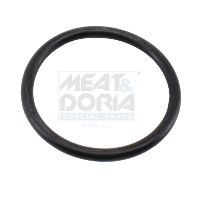 MEAT & DORIA 01699 for OPEL GENERAL MOTORS