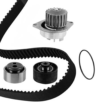 METELLI Vandpumpe + tandremssæt 3004912 for PEUGEOT CITROËN TRIUMPH NISSAN ROVER