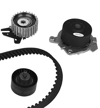 METELLI Vandpumpe + tandremssæt 3006212 for FIAT ALFA ROMEO