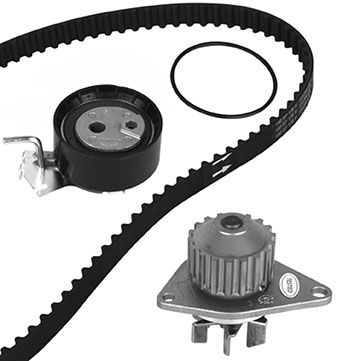 METELLI Vandpumpe + tandremssæt 3008372 for PEUGEOT