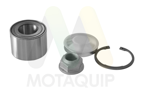 MOTAQUIP Hjullejesæt lvbw1179 for VAUXHALL NISSAN RENAULT