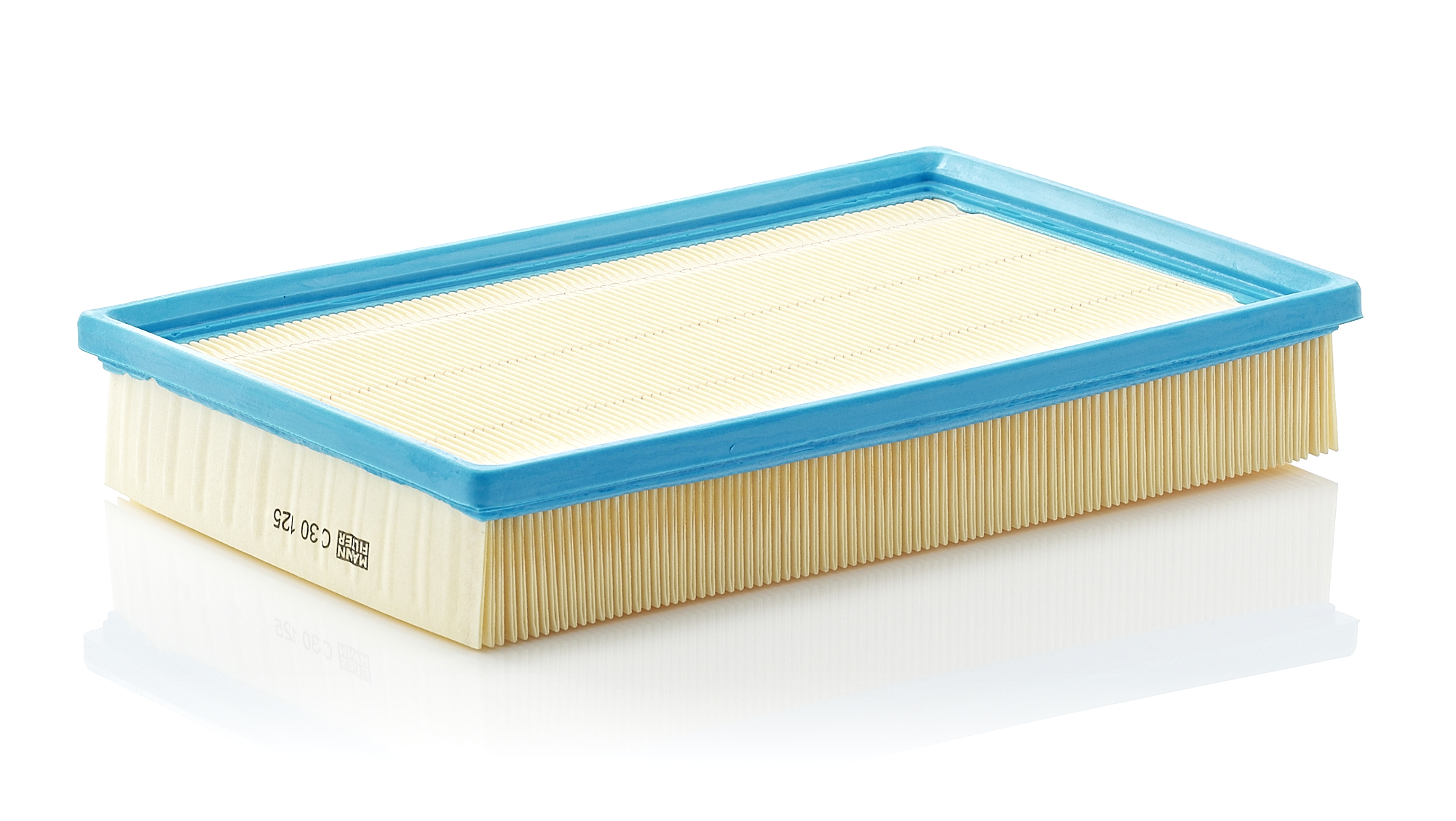 MANN-FILTER Luftfilter c30125 Filterindsats length_mm_203|Længde [mm]|300 width_mm_206|Bredde [mm]|198 height_mm_209|Højde [mm]|49 49mm for FIAT