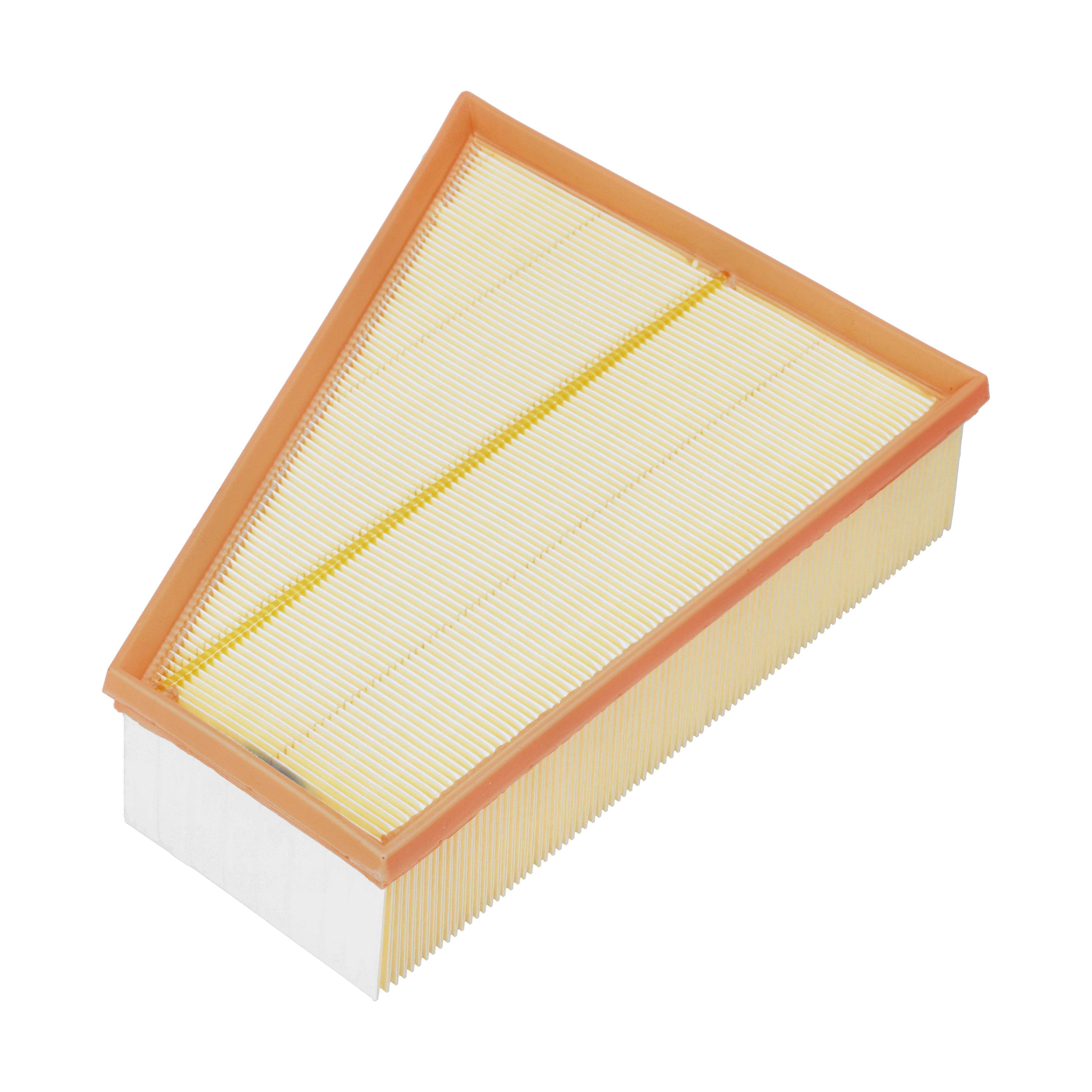 MANN-FILTER Luftfilter c30161 Filterindsats length_mm_203|Længde [mm]|300 width_mm_206|Bredde [mm]|240 height_mm_209|Højde [mm]|70 70mm for FORD VOLV