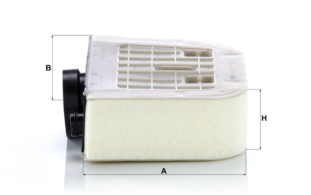 MANN-FILTER Luftfilter c38011 Filterindsats length_mm_203|Længde [mm]|250 width_mm_206|Bredde [mm]|377 height_mm_209|Højde [mm]|101 101mm for VAG