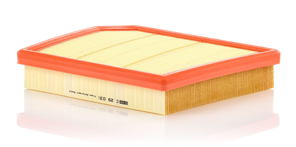 MANN-FILTER Luftfilter c29031 Filterindsats length_mm_203|Længde [mm]|289 width_mm_206|Bredde [mm]|225 height_mm_209|Højde [mm]|52 52mm for BMW