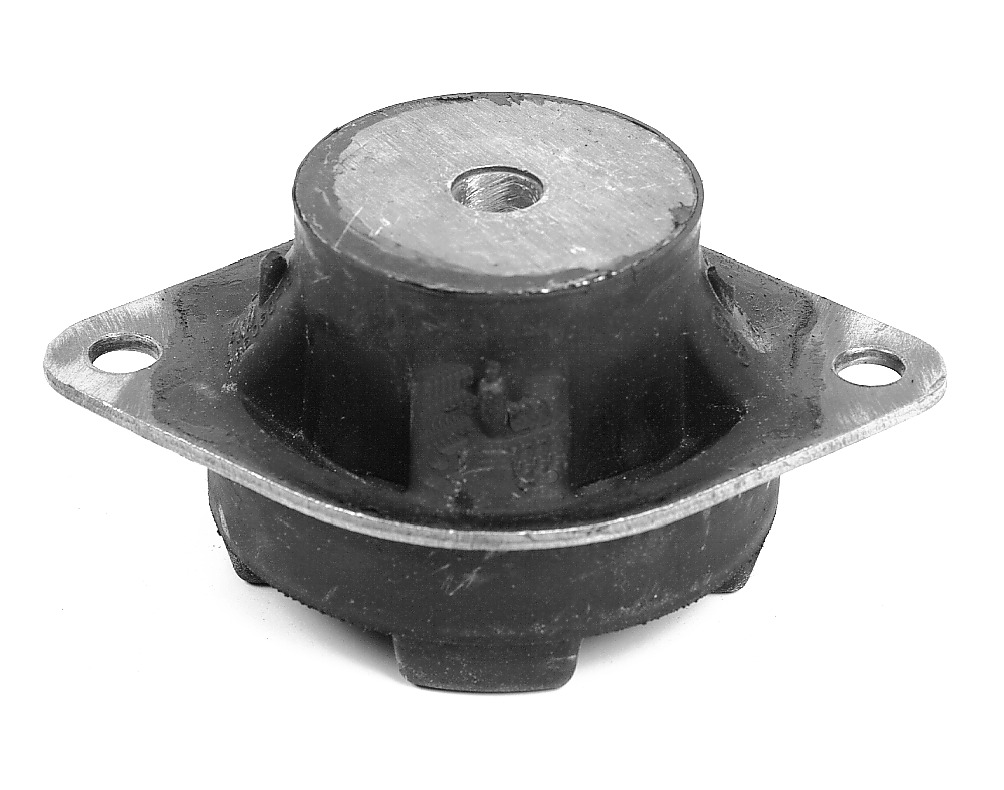 MEYLE Ophæng, automatisk gearkasse 1003990001 for VW